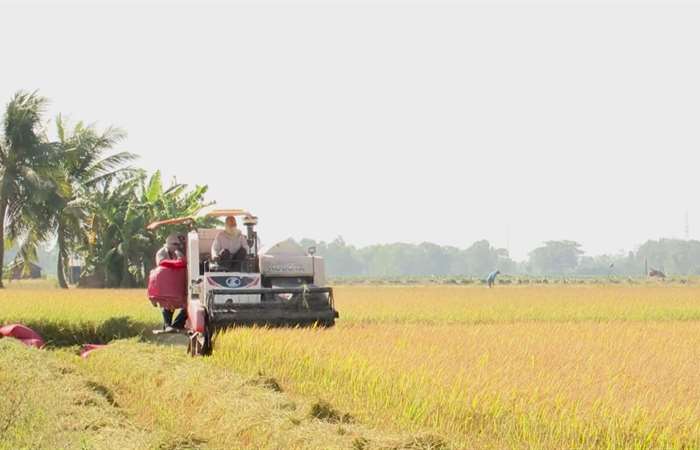 Xuất khẩu gạo của Việt Nam thu về gần 1,4 tỷ USD