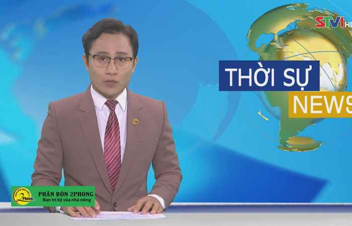 Thời sự chiều ( 02-08-2021 )