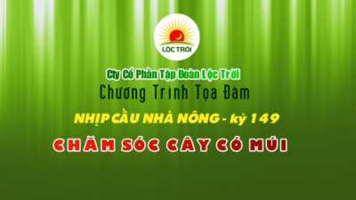 Chương trình tọa đàm Nhịp cầu nhà nông - Kỳ 149 - Chăm sóc cây có múi 06-04-2016