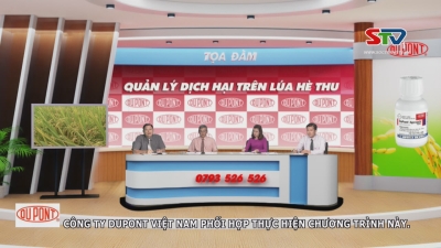 Tọa đàm công ty DUPIONT - Quản lí dịch hại trên lúa hè thu 10-06-2016
