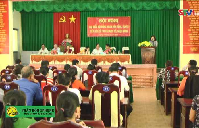  13-11-2020 Thời sự THST 18h30