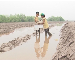 Vì trẻ em 24-09-2014