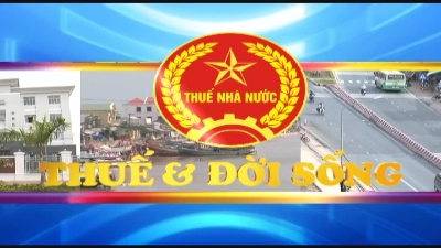 Thuế và đời sống 17-12-2015