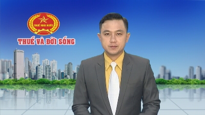 Thuế và đời sống 12-11-2015
