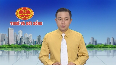Thuế và đời sống 17-09-2015