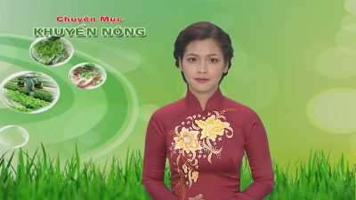 Khuyến nông 03-05-2016
