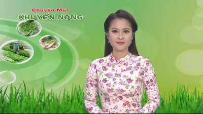Khuyến nông 29-03-2016