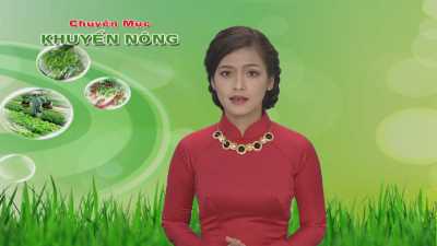 Khuyến nông 23-02-2016