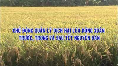 Khuyến nông 26-01-2016