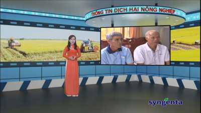 Thông tin dịch hại Nông nghiệp 10-02-2016
