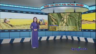 Thông tin dịch hại Nông nghiệp 03-02-2016