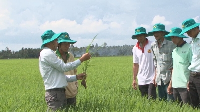 Tiến tới kiến thức vàng 21-08-2015