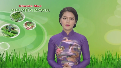 Khuyến nông 21-06-2016
