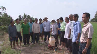 VFC tiếp sức cùng Nông dân-Giải pháp tạo đòng to bông bự 21-12-2015