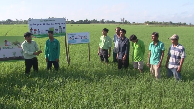 VFC tiếp sức cùng Nông dân 16-11-2015