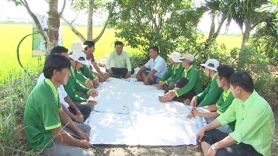 VFC tiếp sức cùng Nông dân 07-09-2015