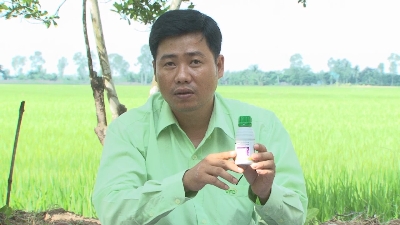 VFC tiếp sức cùng Nông dân 03-08-2015