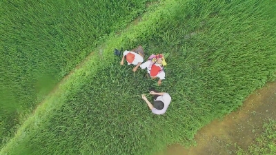 Cùng Nông dân ra đồng 06-09-2015