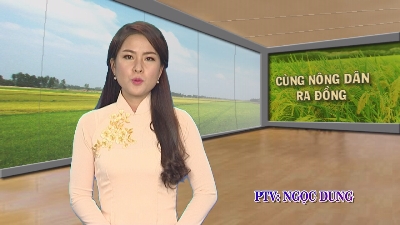 Cùng Nông dân ra đồng 15-08-2015