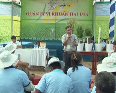 Cùng Nông dân ra đồng 27-12-2014