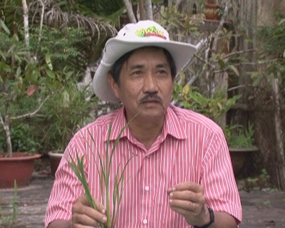 Cùng Nông dân ra đồng 15-11-2014