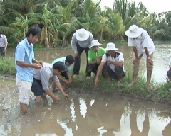 Cùng Nông dân ra đồng 27-09-2014