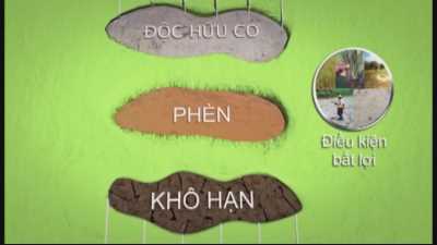 Cẩm Nang Nhà Nông 29-04-2016