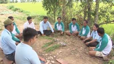 Cánh đồng ước mơ-Quản lý dịch hại giai đoạn lúa trổ 20-01-2016