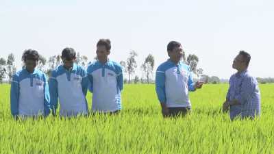 Cánh đồng mơ ước-Giúp đòng to trổ khỏe 06-01-2016