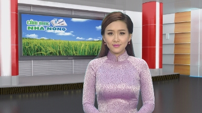 Cẩm Nang Nhà Nông 13-11-2015