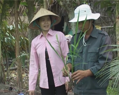 Nhà nông vượt khó 22-03-2015