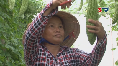 Gương điển hình tiên tiến chị Quách Hải Yến 25-05-2016