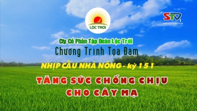 Chương trình tọa đàm Nhịp cầu Nhà Nông kỳ 151 - Tăng cường sức chống chịu cho cây mạ 25-05-2016