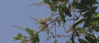 Chương trình tiếng Hoa 28-03-2016