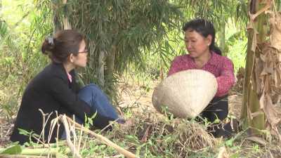 Tiếp bước cho em đến trường 03-02-2016