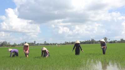 Nét Việt-Duyên dáng ào bà ba 27-04-2016