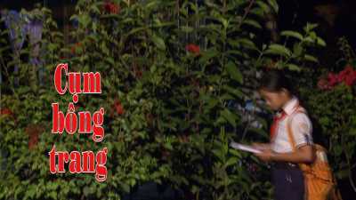 Nét Việt - Cụm Bông Trang 23-04-2016