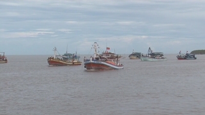Tài nguyên môi trường 03-12-2015