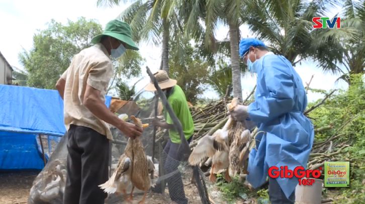 Châu Thành tập trung phòng chống dịch bệnh lây lan