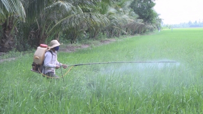 Vì Nông nghiệp bền vững 07-07-2016
