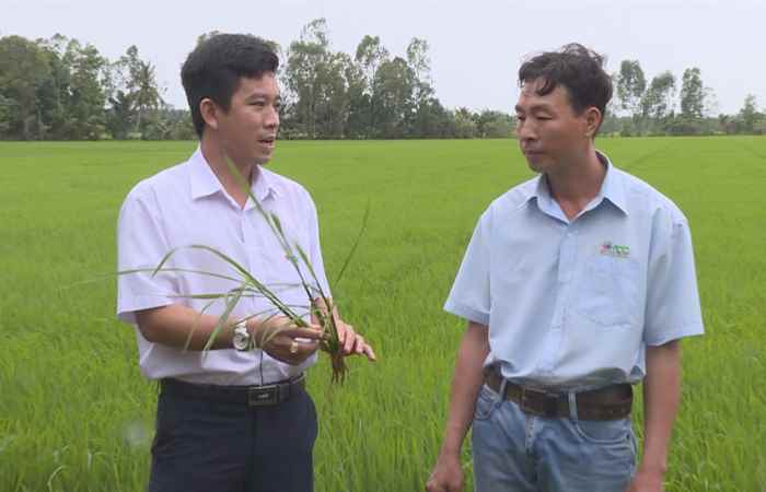 ADC Cánh đồng mơ ước 04-10-2017