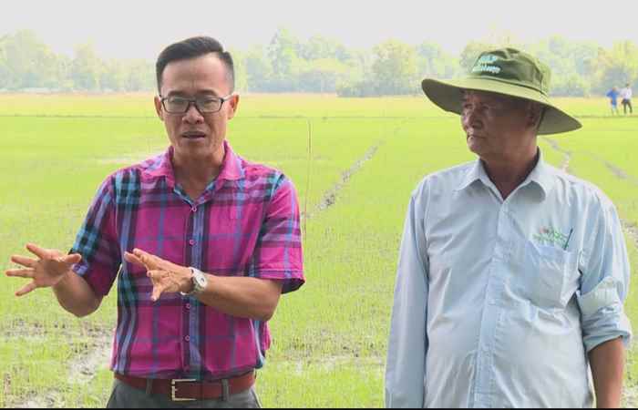 ADC Cánh đồng mơ ước 03-05-2017
