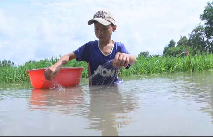 ADC mang đến sự tốt lành 14-06-2017