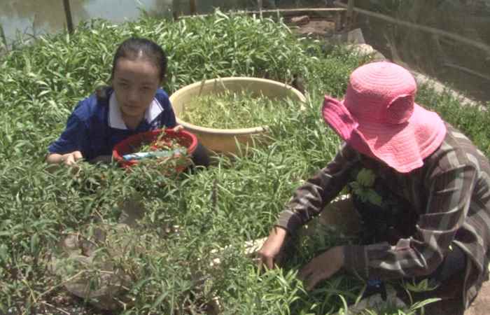 ADC mang đến sự tốt lành (23-09-2020)