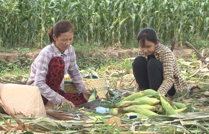 ADC mang đến sự tốt lành (26-08-2020)