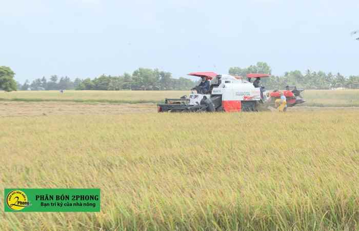 An Hiệp tập trung nâng chất các tiêu chí nông thôn mới (10-04-2021)