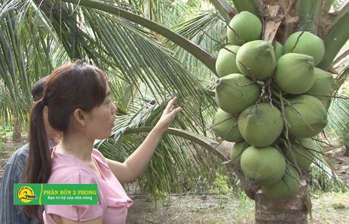 An Thạnh Nhất đẩy mạnh chuyển đổi sản xuất để nâng cao thu nhập 02-03-2019