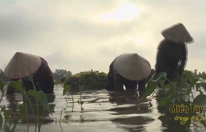 Ấn tượng Miền tây tiếng Khmer 02-10-2018