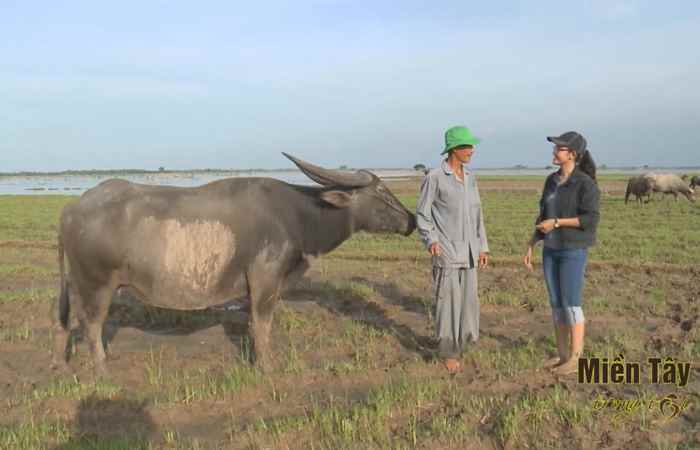 Ấn tượng Miền tây tiếng Khmer 04-06-2018