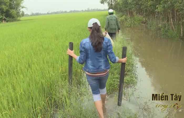 Ấn tượng Miền tây tiếng Khmer 18-09-2018